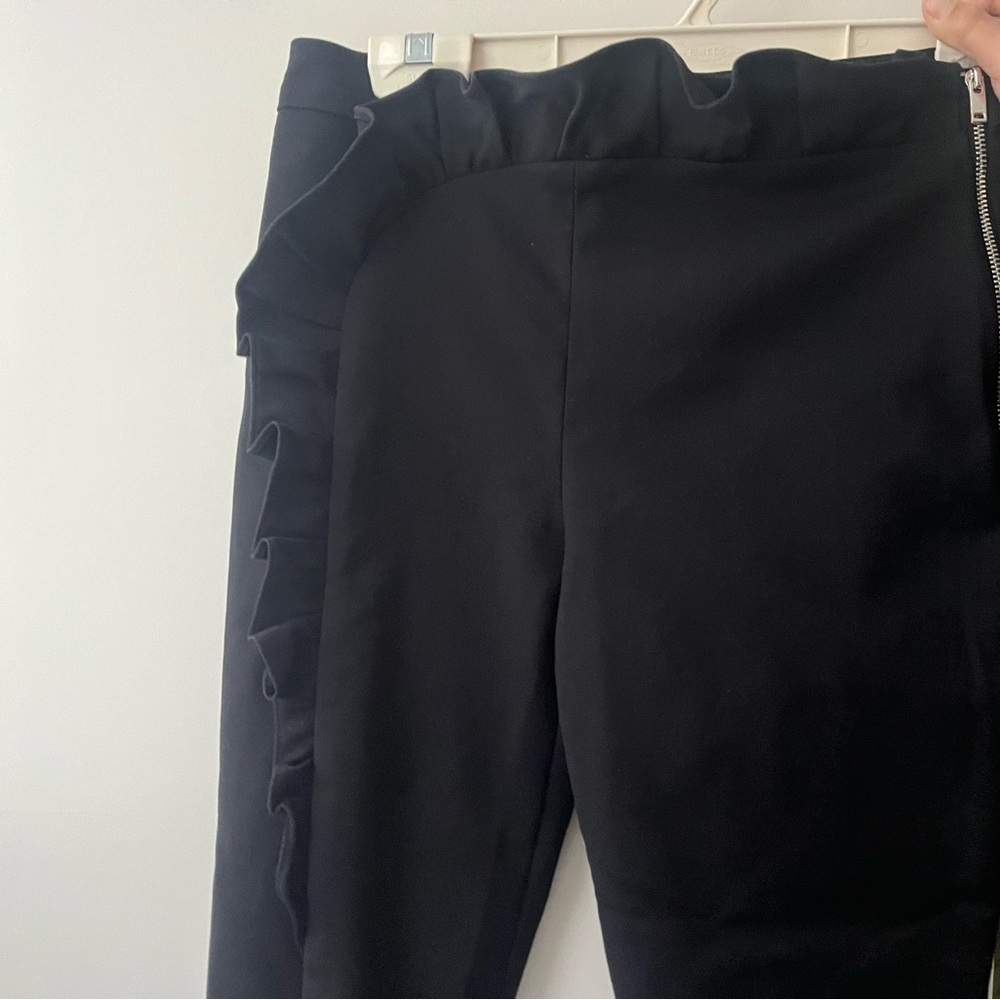 Absolutely gorgeous Zara pants.